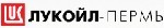 ЛУКОЙЛ-Пермь немного увеличил добычу нефти в 2019 г.