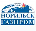 Енисейское управление Ростехнадзора временно запретило эксплуатацию технических устройств и сооружений на опасных производственных объектах АО "Норильскгазпром".