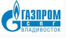 Проект строительства завода СПГ под Владивостоком остается актуальным.