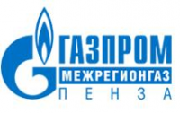 В правительстве Пензенской области состоялось заседание межведомственной рабочей группы по вопросам газификации и газоснабжения региона.