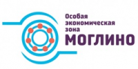 Вице-губернатор Псковской области Нинель Салагаева рассказала, зачем в "Моглино" строят очистные сооружения.